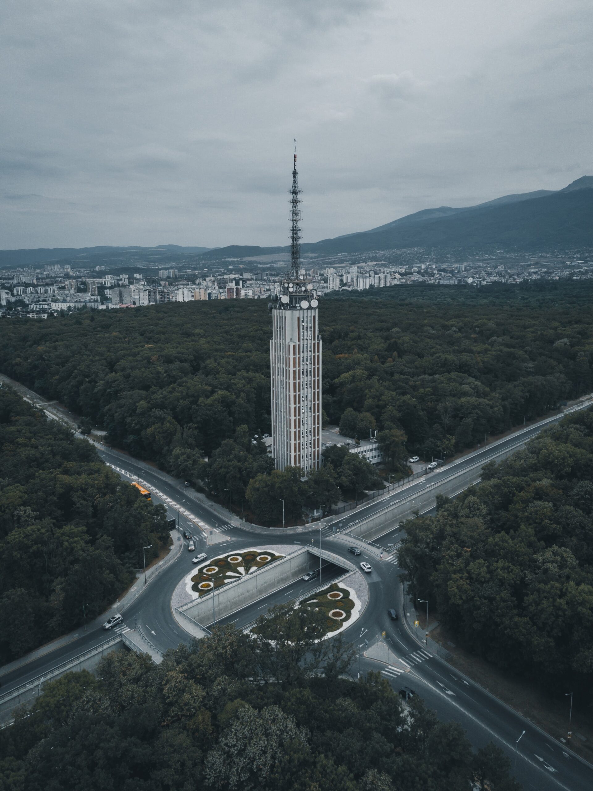 Sofia