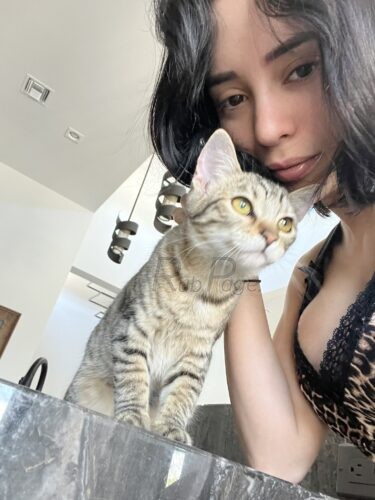 Vanessa